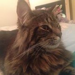 Lee-Anne Amelia Manikiza