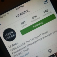 lilbibby_