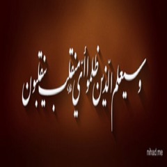 eng.sayed