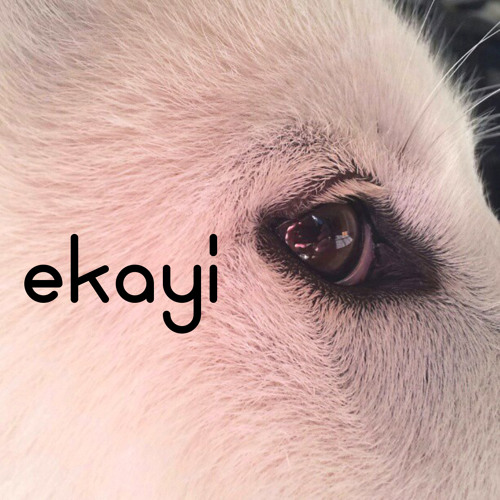 ekayi’s avatar