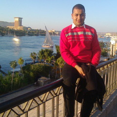 Mohamed AbdElsayed