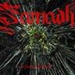 SAMADHI "Fuente de Poder"