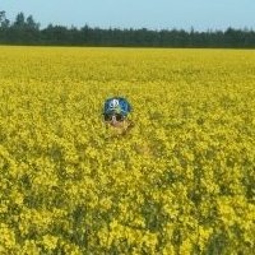 Stream Dan Phillips 45 music Listen to songs, albums, playlists for