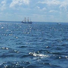 walzenwerner
