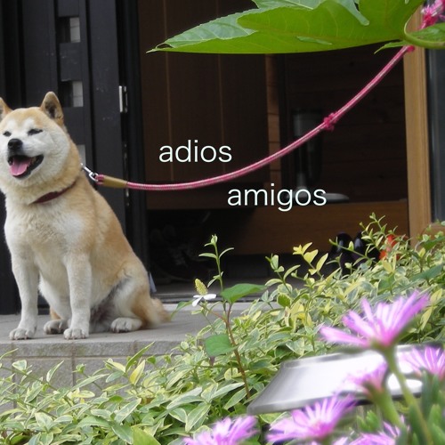 Stream adios amigos music | Listen to songs, albums, playlists for free on  SoundCloud