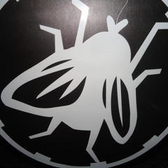 Lingua de Musquito Rock