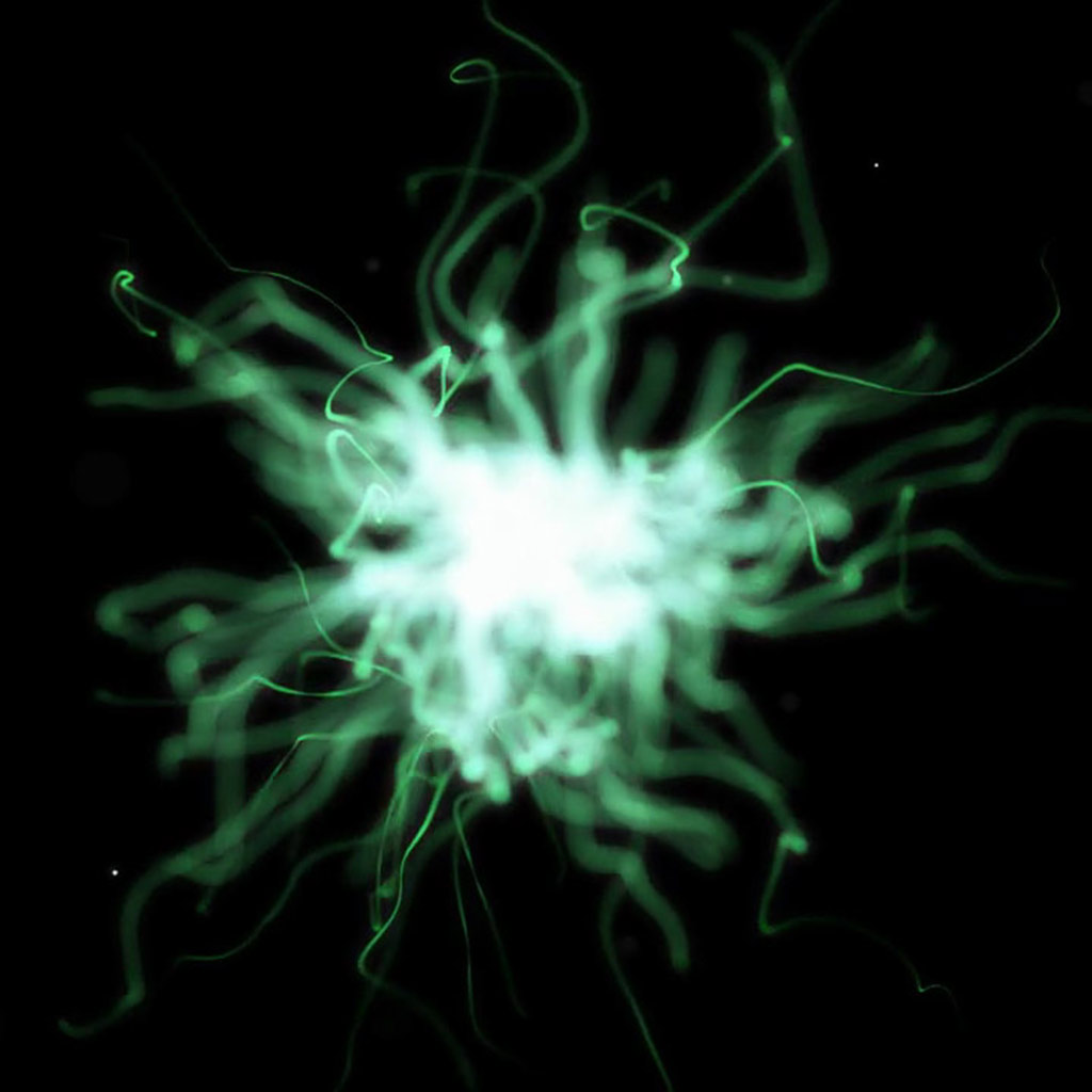 Torben Andersen's Music Feed podcast artwork