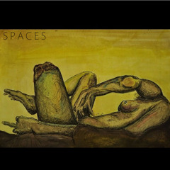 S P A C E S