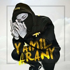 Yamil Arany