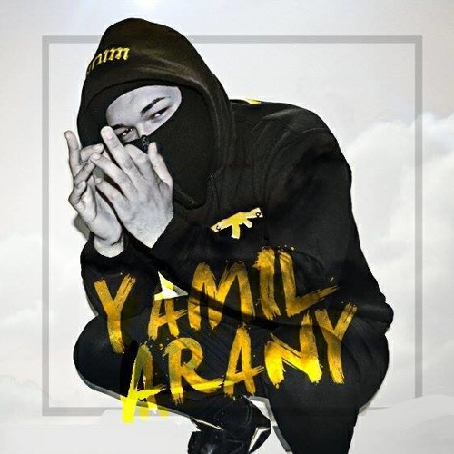 Yamil Arany’s avatar