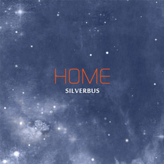 Silverbus