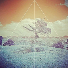 CreativeMindsCollective