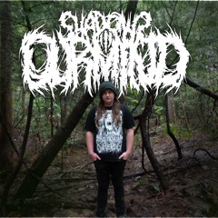 Shadows In Our Mind