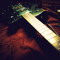 Thib_autop