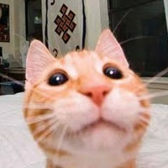 Kady Z - One Million Pieces