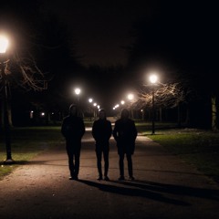 We Came Out Like Tigers