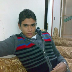 Ahmed Mostafa Shetos