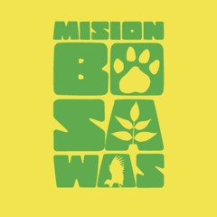 Misión Bosawas
