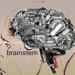 brainstem(activity)