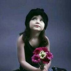 user681897977