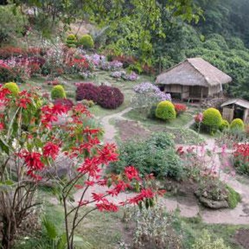 Tren manh dat tinh nguoi