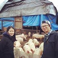 Raphaël Louis Bourgoin