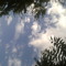 AmmarـــSudani