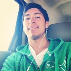 Sebastian Arroyo Retamal