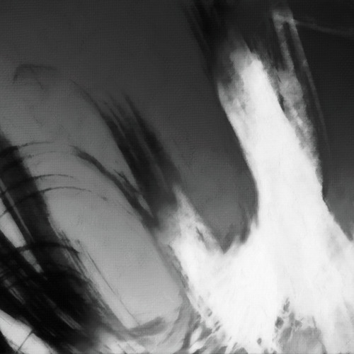 Solar Fields - Brainbow