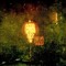 Gadfly_in