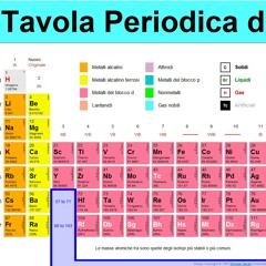 user19258243