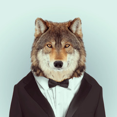 EcKo