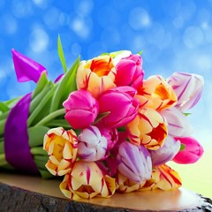 amal_abdullah