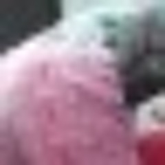 brekabooluvinjasonjr.