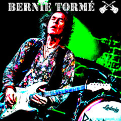 Bernie Torme