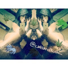 catsandkush_