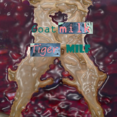 Goat milk Tiger MILF