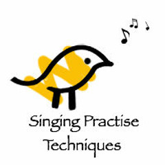 SingingPracticeTechniques