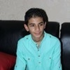Sayed_Hisham99
