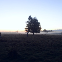 Hoopla Records Official