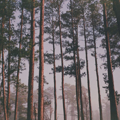 Chillsounds