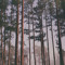 Chillsounds