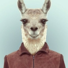 Harry Rastafary