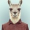 Harry Rastafary