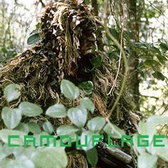 Kid Camouflage