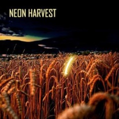 Neon Harvest