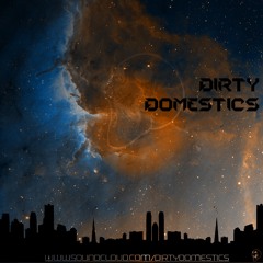 DirtyDomestics