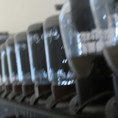 Sweet beet (Moonlight)