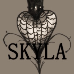 Skyla™