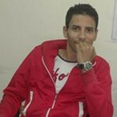 Ahmed Seada 3
